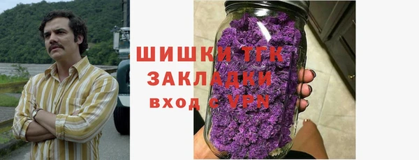 молекула духа Покровск