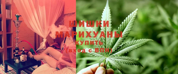 молекула духа Алексеевка