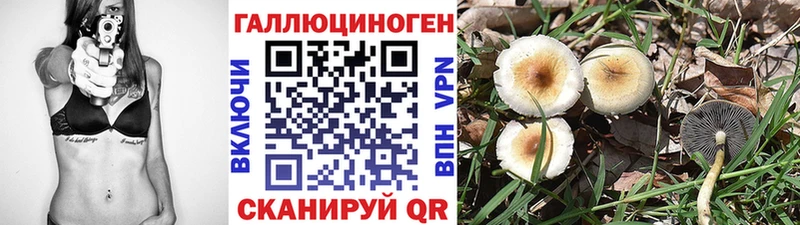 Псилоцибиновые грибы прущие грибы  Борзя 